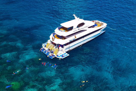Great Barrier Reef Snorkeling And Diving Cruise From Cairns - Melbourne Tourism 5