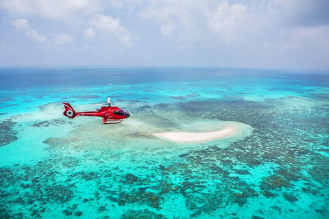 Private Helicopter Tour: Reef Island Snorkeling And Gourmet Picnic Lunch - Melbourne Tourism 5