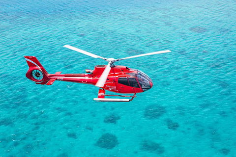 Cruise To Moore Reef Pontoon And Return Helicopter Flight From Cairns - Melbourne Tourism 1