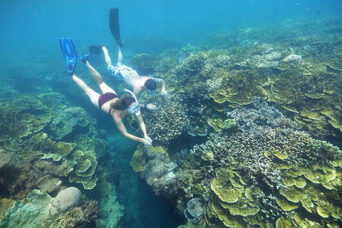Cruise To Moore Reef Pontoon And Return Helicopter Flight From Cairns - Melbourne Tourism 3