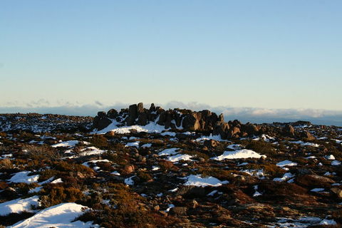 Mt. Wellington, Bonorong And Richmond Day Tour From Hobart - Melbourne Tourism 5