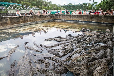 Hartley's Crocodile Adventures Day Trip From Cairns - Melbourne Tourism 0