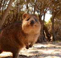 Pinnacles  Rottnest Island Scenic Air  Ground Tour - Melbourne Tourism