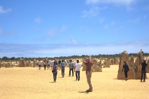 Pinnacles & Rottnest Island Scenic Air & Ground Tour - Melbourne Tourism 3