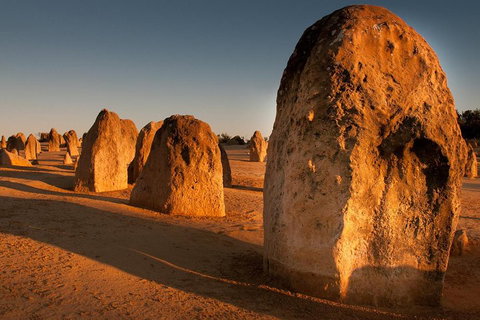 Pinnacles & Rottnest Island Scenic Air & Ground Tour - Melbourne Tourism 4