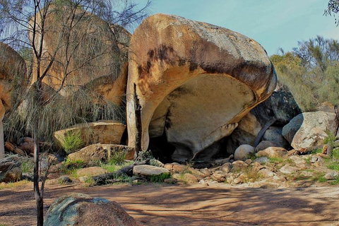 Wave Rock & Rottnest Island - Air & Ground Tour - Melbourne Tourism 4