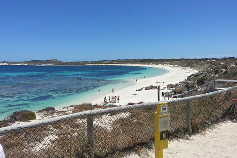 Wave Rock, Pinnacles And Rottnest One Day Aeroplane Tour - Melbourne Tourism 2