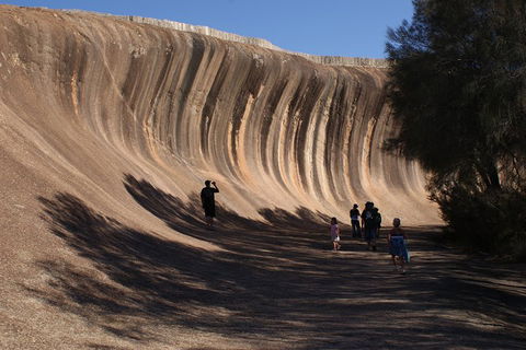 Wave Rock, Pinnacles And Rottnest One Day Aeroplane Tour - Melbourne Tourism 4