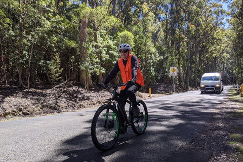 Mount Wellington Descent Cycling Tour Departs Hobart - Melbourne Tourism 3
