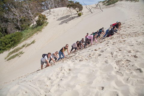 6-Day Tasmanian Explorer Adventure Tour From Hobart - Melbourne Tourism 2
