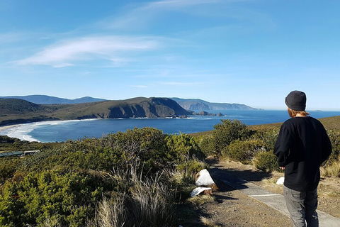 4-Day Fabulous Tasmania Tour: Wineglass Bay, Port Arthur, Devils & Bruny Island - Melbourne Tourism 0