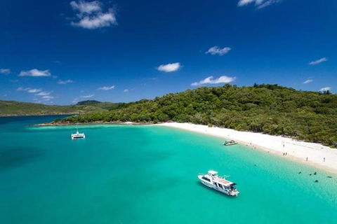 Whitehaven Beach And Hill Inlet | Awesome Beach BBQ | Family Friendly - Melbourne Tourism 3