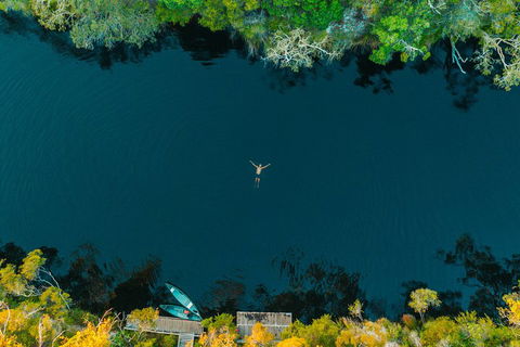 Cruise 'n' Canoe To Australia's Everglades - Melbourne Tourism 2
