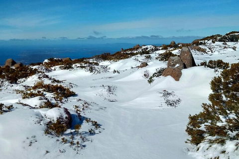 Mount Wellington Ultimate Experience Tour From Hobart - Melbourne Tourism 1