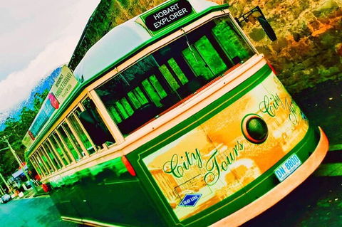 Hobart Half-Day Sightseeing Coach Tram Tour - Melbourne Tourism 5