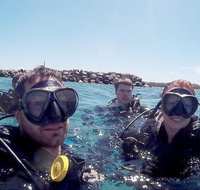 Wave Break Island Scuba Diving on the Gold Coast - Melbourne Tourism