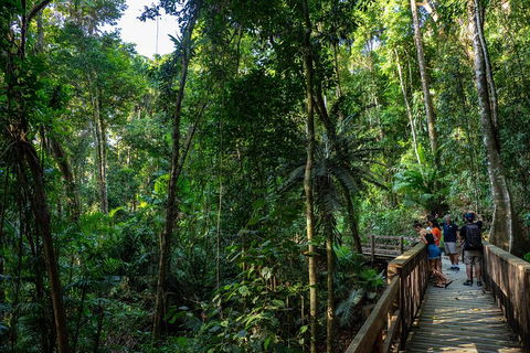 Full Day Daintree Rainforest And Mossman Gorge Tour - Melbourne Tourism 5