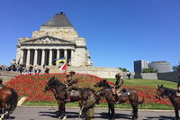 Private Half Day Melbourne City Tour with Local guide