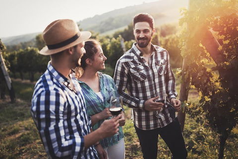 Full Day Mount Tamborine Winery Tour From Gold Coast - Melbourne Tourism 5