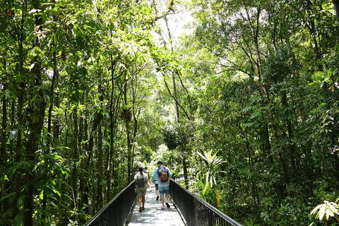 Daintree Dreaming Traditional Aboriginal Fishing From Cairns Or Port Douglas - Melbourne Tourism 3
