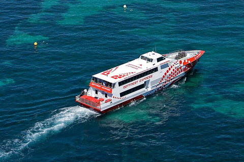 Discover Rottnest With Ferry & Bus Tour From Perth Or Fremantle - Melbourne Tourism 3