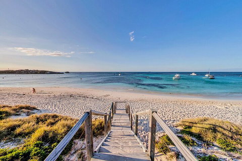 Discover Rottnest With Ferry & Bus Tour From Perth Or Fremantle - Melbourne Tourism 4