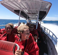 Adventure Rottnest Tour with Ferry  Adventure Cruise from Perth or Fremantle - Melbourne Tourism