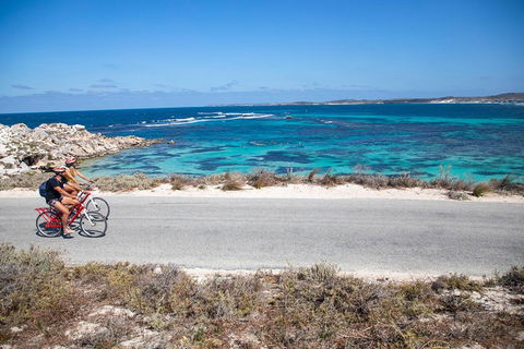 Experience Rottnest With Ferry & Bike Hire From Perth Or Fremantle - Melbourne Tourism 2