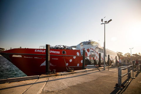 Rottnest Island Round-Trip Ferry From Perth Or Fremantle - Melbourne Tourism 2