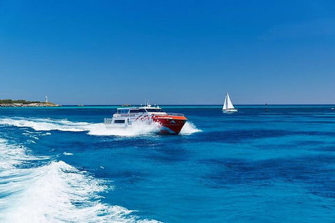 Rottnest Island Round-Trip Ferry From Perth Or Fremantle - Melbourne Tourism 4