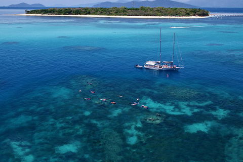 Ocean Free Green Island & Great Barrier Reef Snorkel Cruise, Cairns 25 Guests - Melbourne Tourism 2