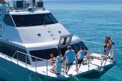 Ocean Freedom Great Barrier Reef Personal Luxury Snorkel & Dive Cruise, Cairns - Melbourne Tourism 1
