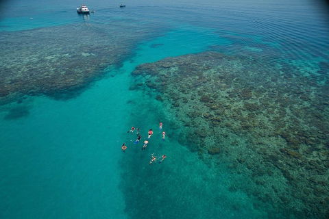 Ocean Freedom Great Barrier Reef Personal Luxury Snorkel & Dive Cruise, Cairns - Melbourne Tourism 3