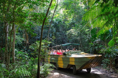 Kuranda Highlights Including Rainforestation Aboriginal Culture And Wildlife - Melbourne Tourism 2
