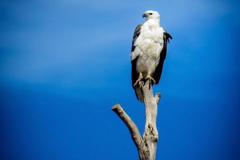 Kangaroo Island 75-Minute Ocean Safari - Melbourne Tourism 0