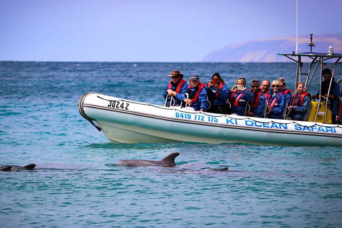 Kangaroo Island 75-Minute Ocean Safari - Melbourne Tourism 4