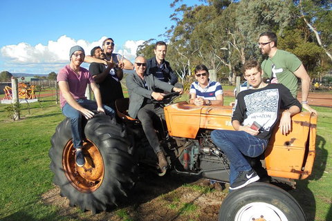 1/2 Day Swan Valley Wine Cheese & Chocolate Tour Inc Afternoon Cruise To Perth - Melbourne Tourism 1
