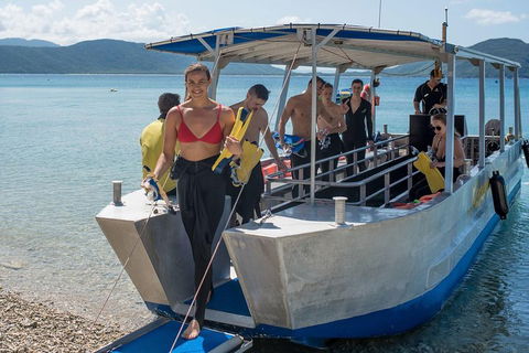 Fitzroy Island Day Trip From Cairns - Melbourne Tourism 5