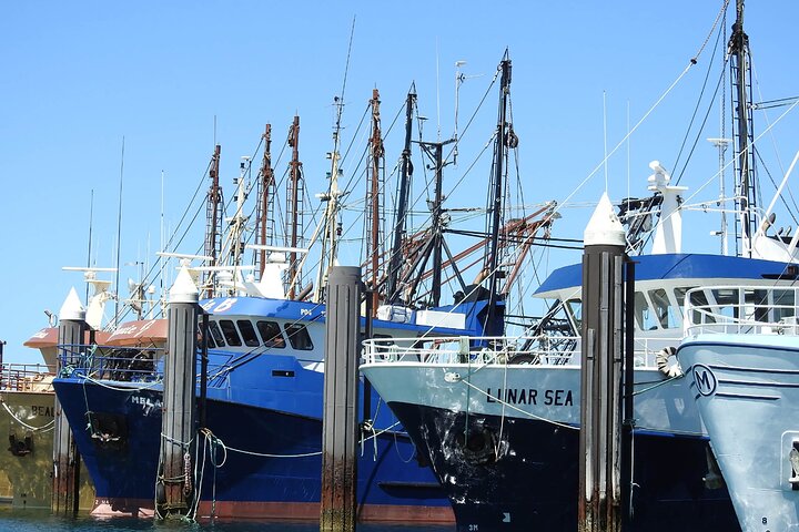 Port Lincoln SA Melbourne Tourism