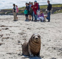 Kangaroo Island in a Day Tour from Adelaide - Melbourne Tourism