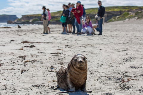 Kangaroo Island In A Day Tour From Adelaide - Melbourne Tourism 0