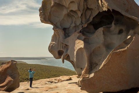 Kangaroo Island In A Day Tour From Adelaide - Melbourne Tourism 5