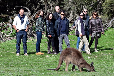 2-Day Kangaroo Island 4WD Small-Group Tour From Adelaide - Melbourne Tourism 1