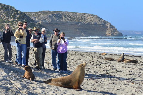 2-Day Kangaroo Island 4WD Small-Group Tour From Adelaide - Melbourne Tourism 3