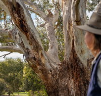 NEW TOUR - Kangaroo Island Road to Recovery Tour 1 Day/1 Night - Melbourne Tourism