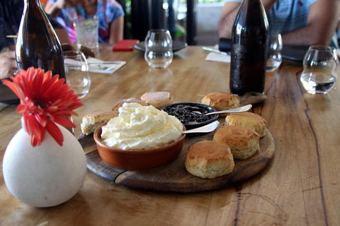 Small-Group Afternoon Cairns City Tour With Harbour Dinner Cruise - Melbourne Tourism 3