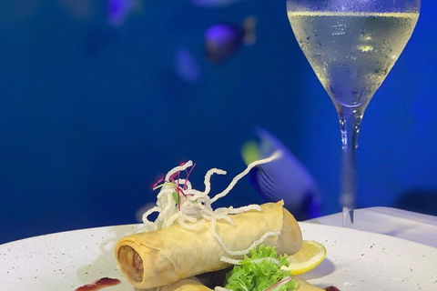 Cairns Aquarium And Small Group City Sightseeing Tour - Melbourne Tourism 5