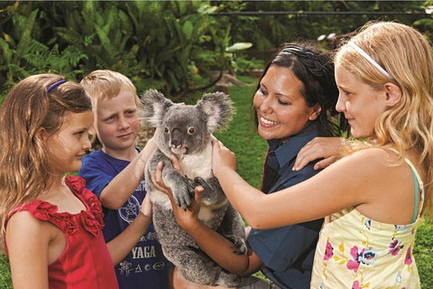 Kuranda Koala Gardens General Entry Ticket - Melbourne Tourism 0