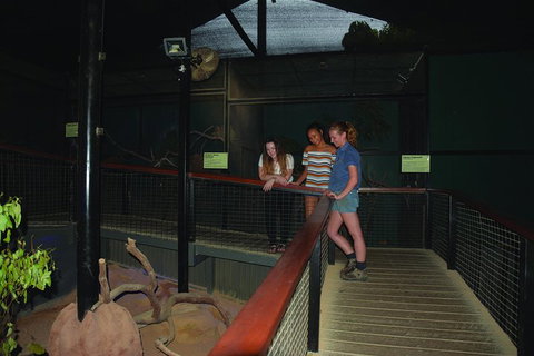 Kuranda Koala Gardens General Entry Ticket - Melbourne Tourism 2