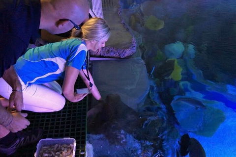 Cairns Aquarium Marine Life Encounter Ticket With 2-Course Lunch - Melbourne Tourism 2